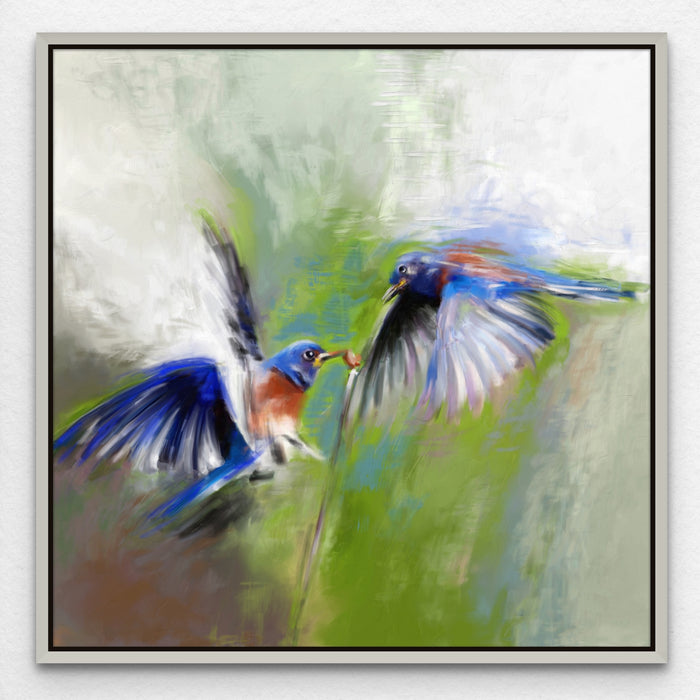 Blue Bird Audubon Art