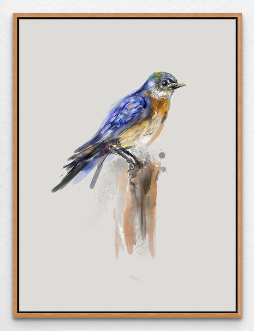 Robin Painting Wall Art Audubon Bird Prints